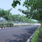 Govindapuram Land For Sale